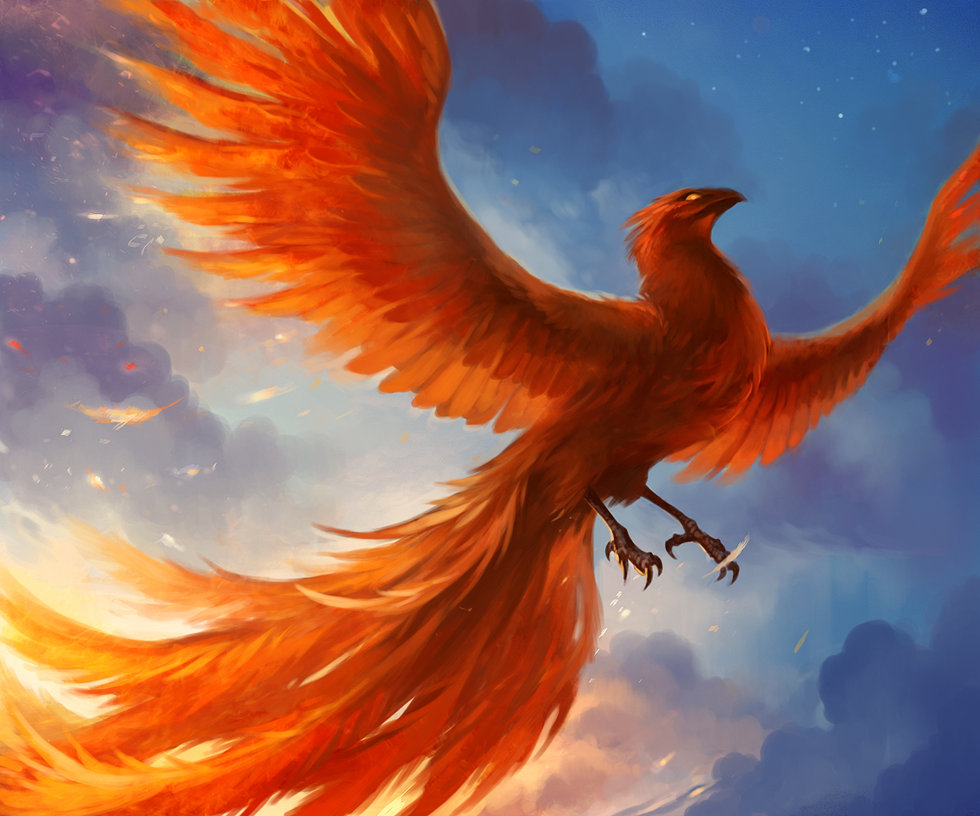 phoenix_by_sandara-d4o2ewx